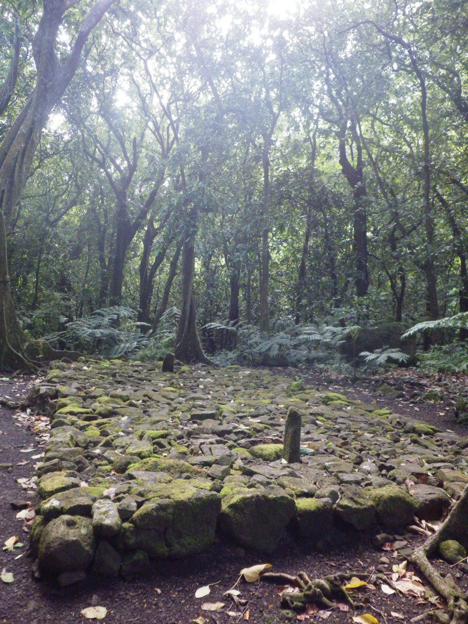 Marae de Opunohu à Morea (îles de la Société) Marae de Opunohu à Morea (îles de la Société)